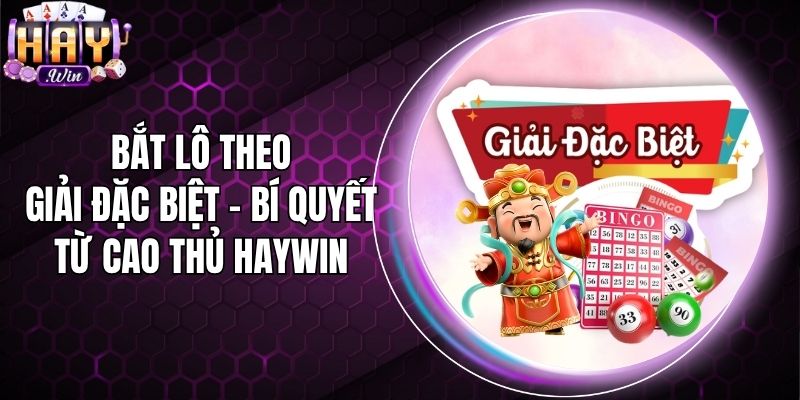 Bắt Lô Theo Giải Đặc Biệt - Bí Quyết Từ Cao Thủ Haywin