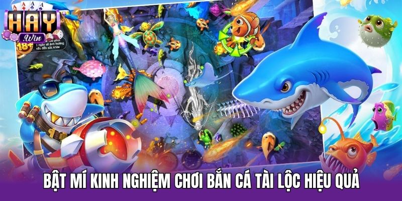 Bật mí kinh nghiệm chơi Bắn cá tài lộc hiệu quả