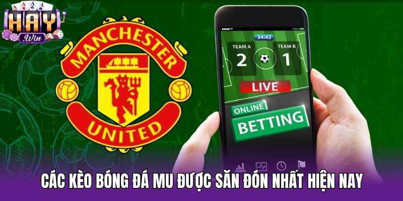 Các kèo bóng đá MU được săn đón nhất hiện nay