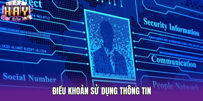 Điều khoản sử dụng thông tin