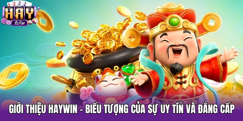 Giới thiệu Haywin - biểu tượng của sự uy tín và đẳng cấp