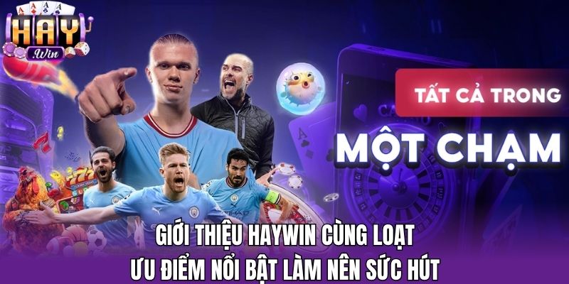 Giới thiệu Haywin cùng loạt ưu điểm nổi bật làm nên sức hút