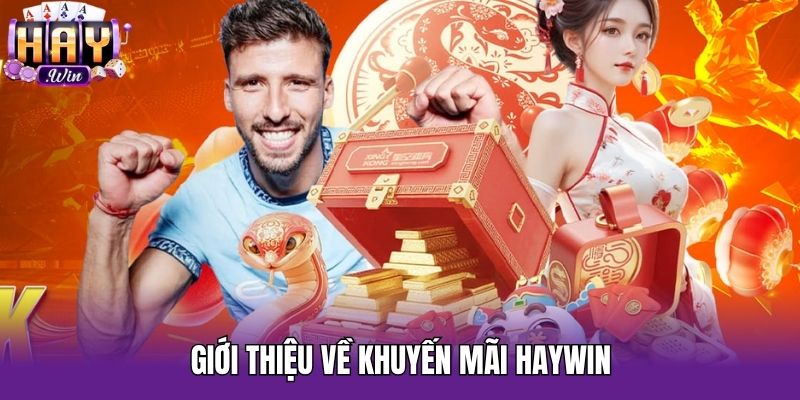 Giới thiệu về khuyến mãi Haywin