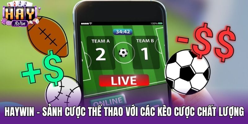 Haywin - sảnh cược thể thao với các kèo cược chất lượng
