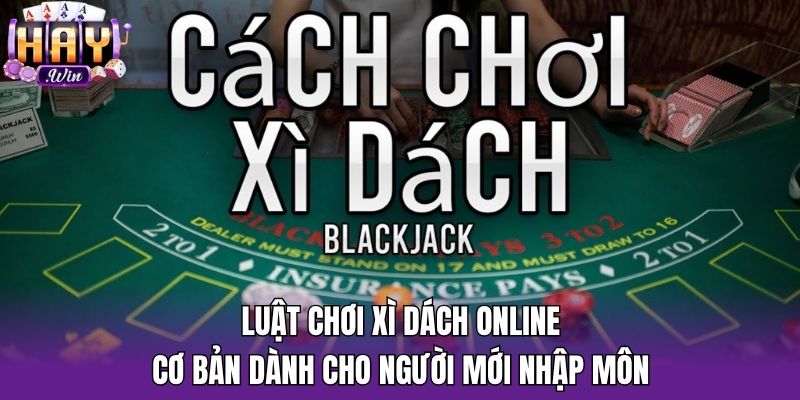 Luật chơi Xì Dách online cơ bản dành cho người mới nhập môn