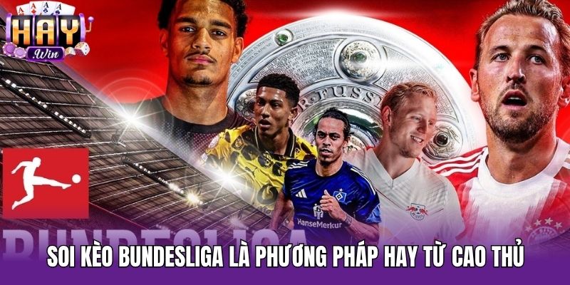 Soi kèo Bundesliga là phương pháp hay từ cao thủ