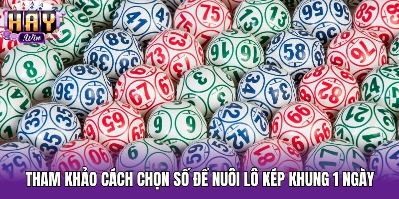 Tham khảo cách chọn số để nuôi lô kép khung 1 ngày
