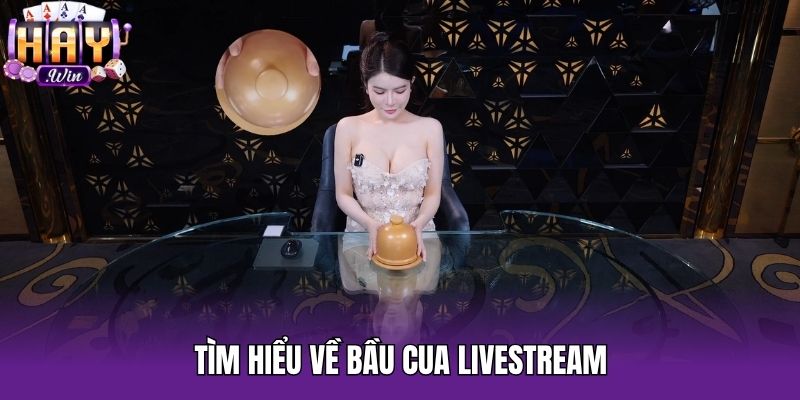 Tìm hiểu về Bầu Cua Livestream