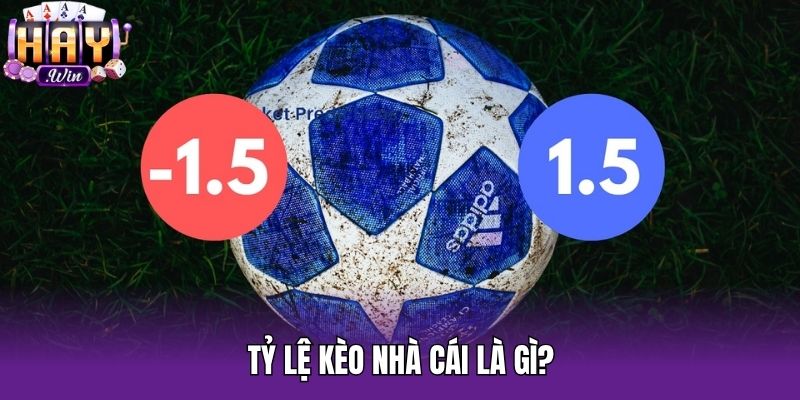 Tỷ lệ kèo nhà cái là gì?